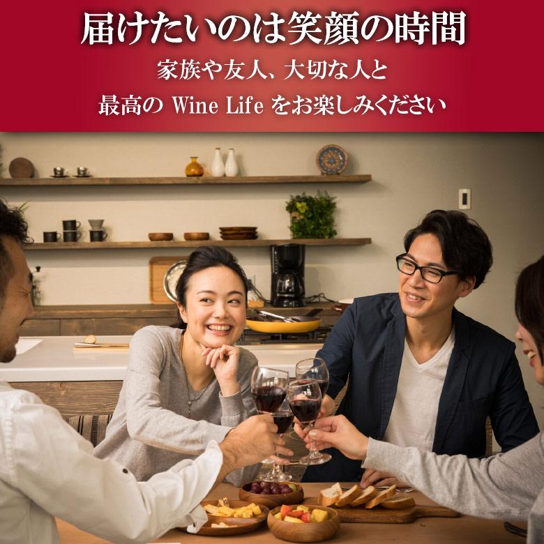 ワイン ワインセット ソムリエ厳選 安旨イタリアワイン6本 赤3本白3本