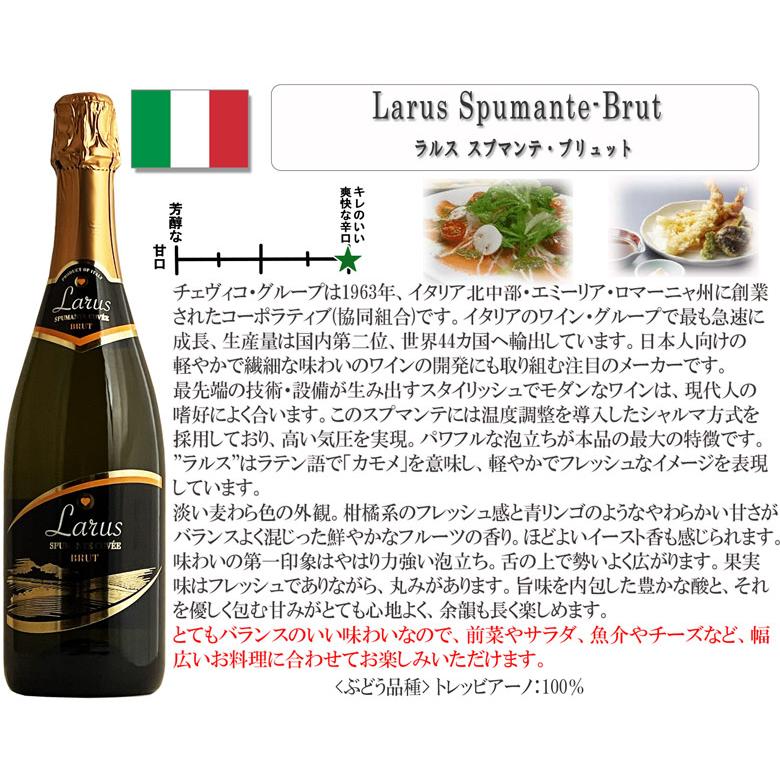 イタリア スパークリングワイン 2本 セット : ワインの専門店