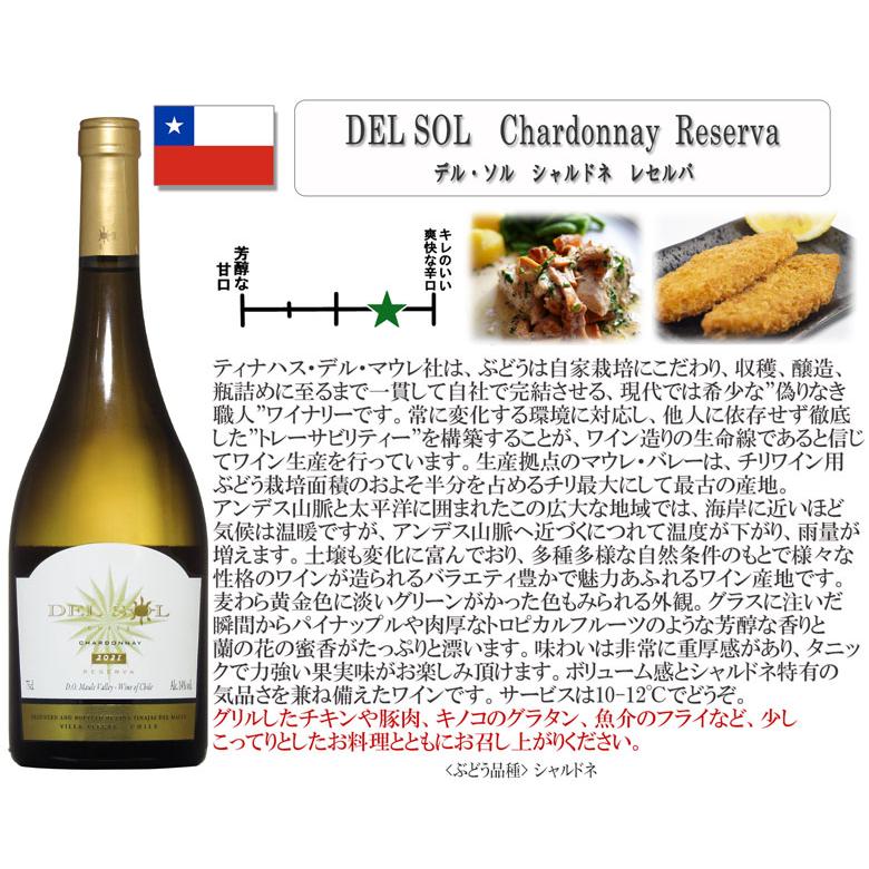 超フルボディ3本セット 白1本赤2本 ワイン セット wine : ワインの専門