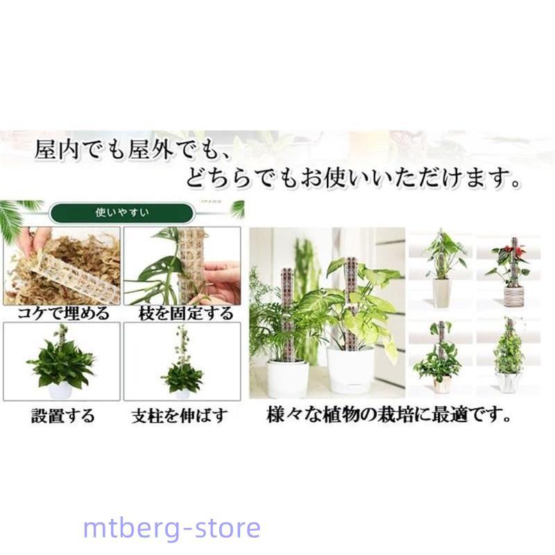 モスポール 支柱 4本セット 連結可 観葉植物 モンステラ プラスチック 園芸 植物サポート｜mtberg-store｜03