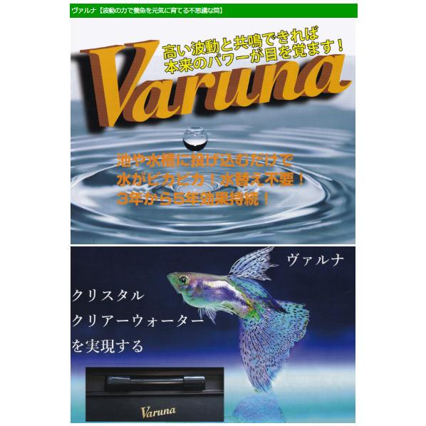 ヴァルナ・ミニ 水槽用 約15cm養魚用水槽の水質維持改善材、約500Lまで