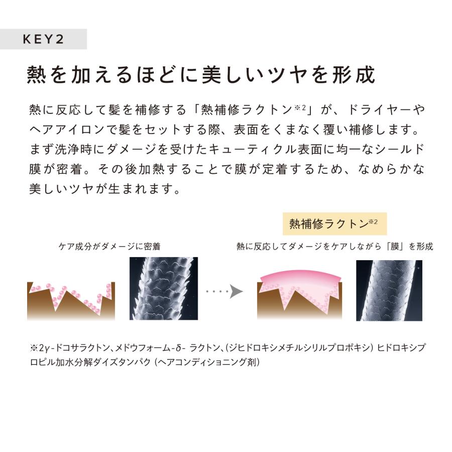 リファハートブラシ フォースカルプ & リファビューテックシャンプー 250ｍL & リファビューテックトリートメント 250g セット BST｜mtgec｜13