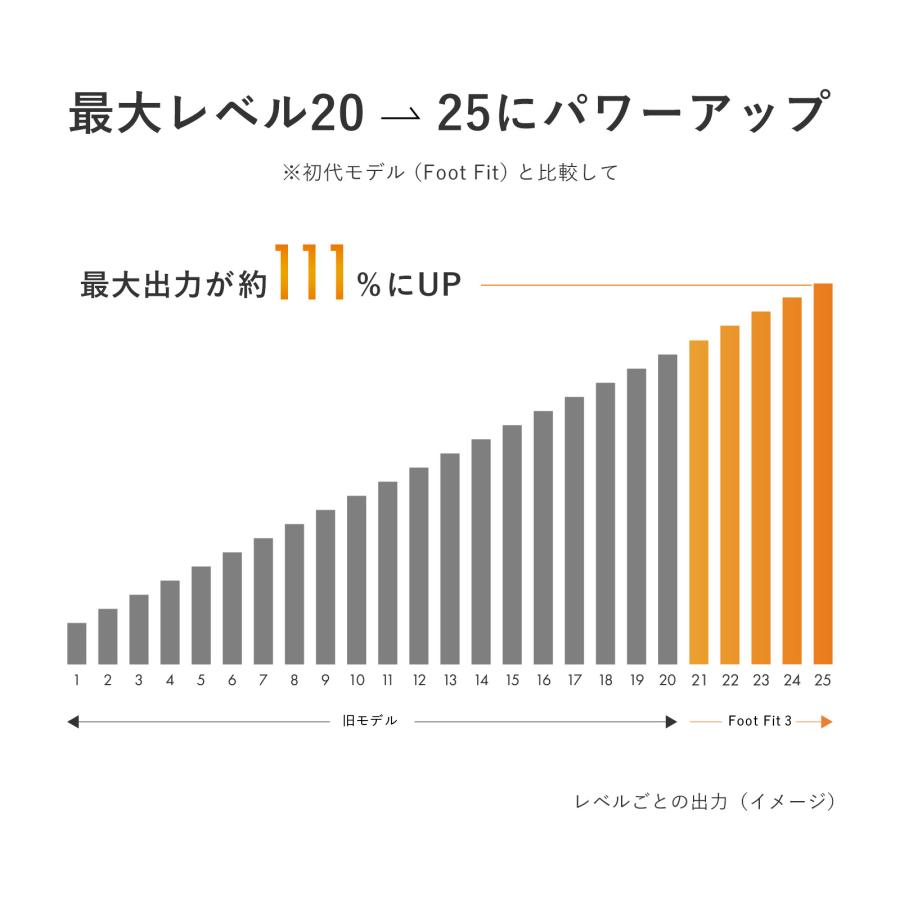 SIXPAD（シックスパッド） フットフィット3 ブラックエディション + 