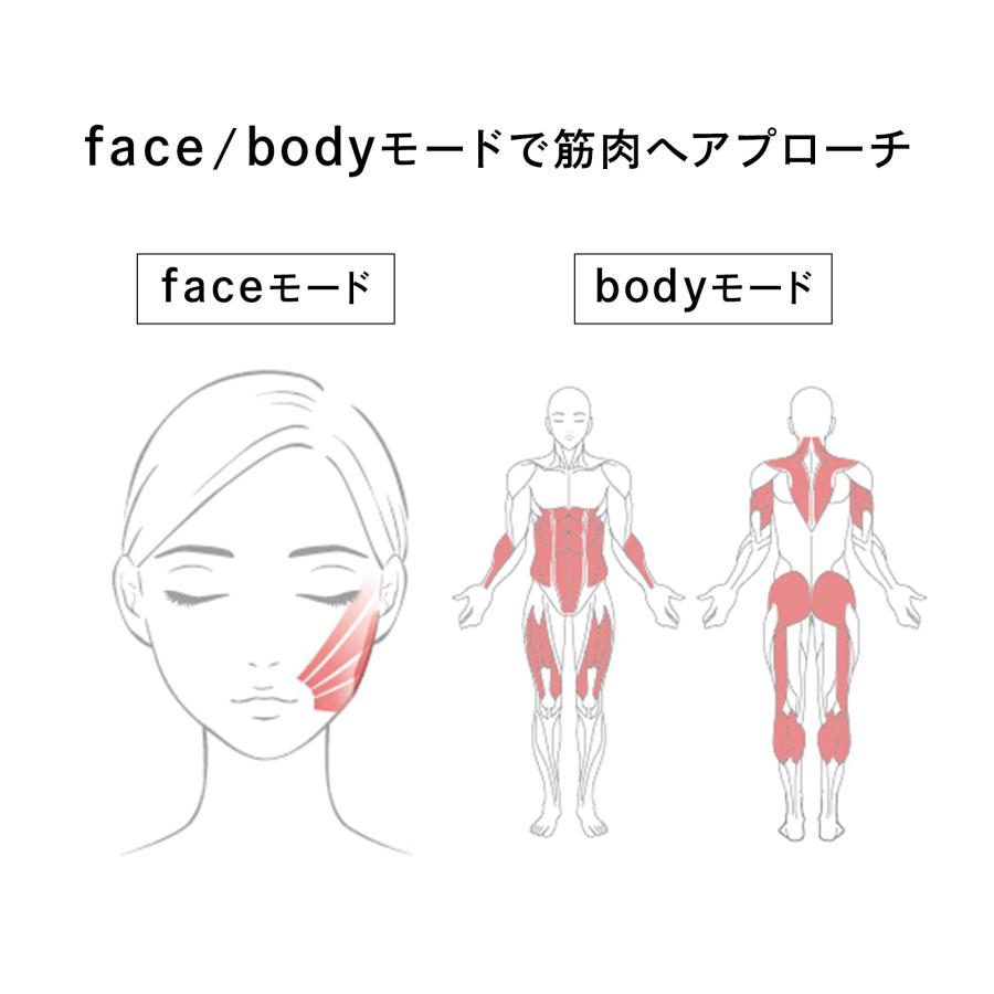 ReFa（リファ） 【筋トレ×美肌 ローラー】公式ストア リファカラット