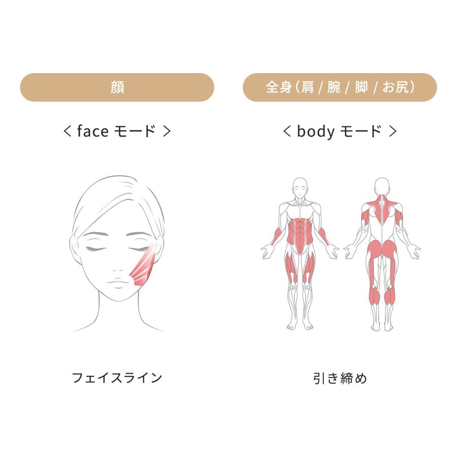 ReFa（リファ） ○ReFa○ 筋トレ×美肌 ローラー 公式 リファカラット