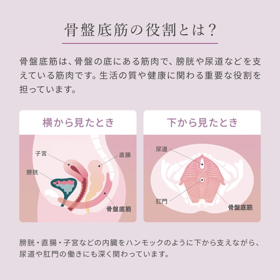 SIXPAD（シックスパッド） 公式ストア ぺリネフィット 骨盤底筋 EMS