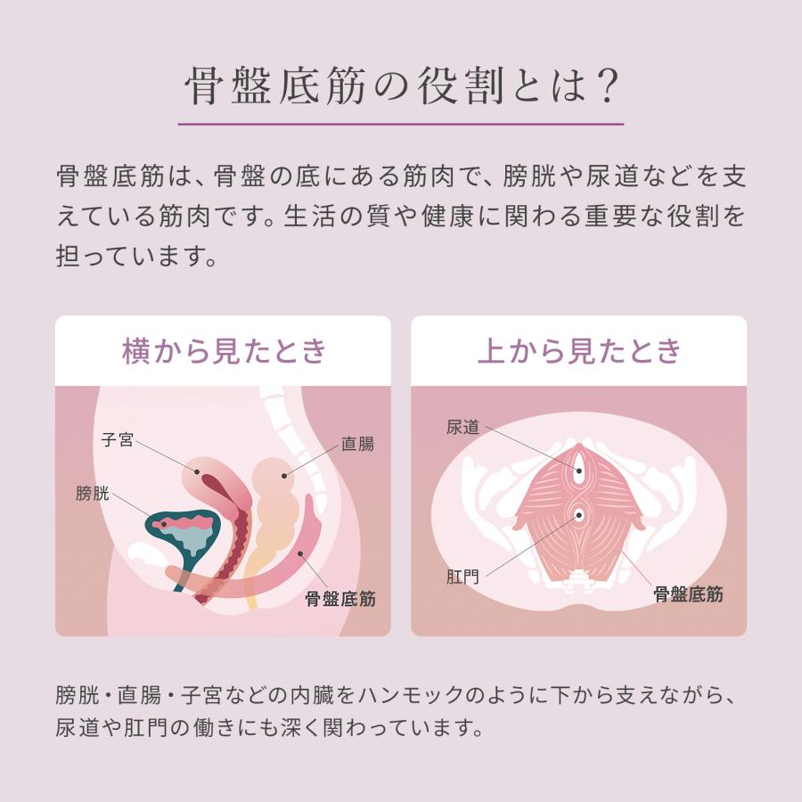 シックスパッド ぺリネフィット + 延長保証書 セット | SIXPAD | 06