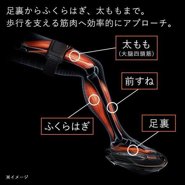 SIXPAD シックスパッド EMS フットフィットプラス2 Foot Fit Plus2 筋肉 筋トレ 足裏 ふくらはぎ 太もも ギフト プレゼント  ウォーキング MSK :3618920101:MTG ONLINESHOP - 通販 - Yahoo!ショッピング