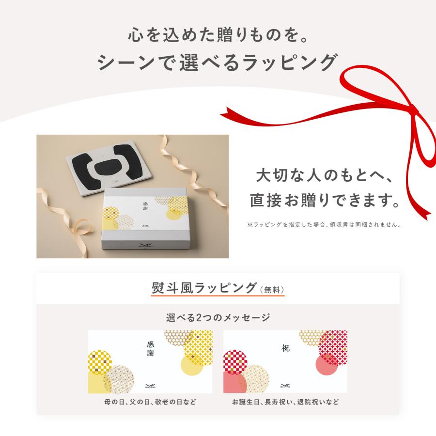 SIXPAD（シックスパッド） フットフィット3 コンパクト & 延長保証書