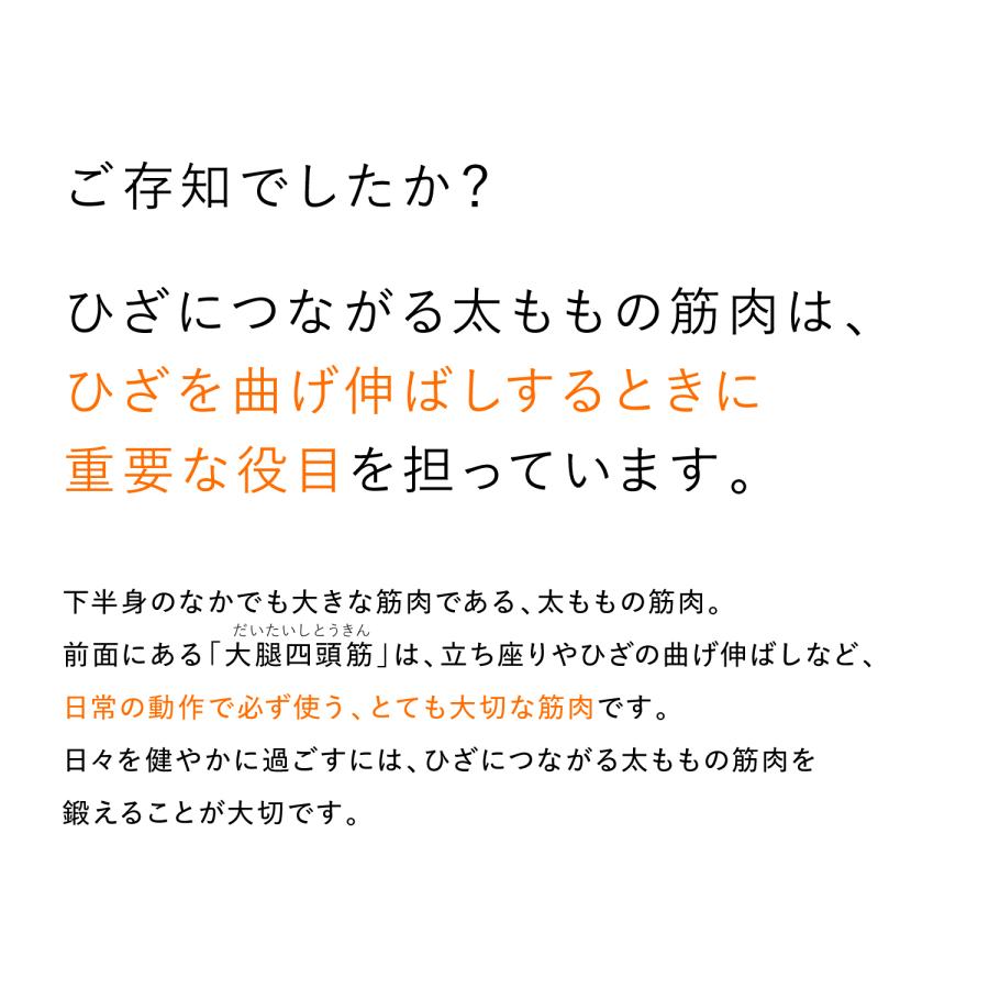 SIXPAD 【膝に負担を掛けずトレーニング】SIXPAD ニーフィット SIXPAD 【膝に負担を掛けずトレーニング】SIXPAD ニーフィット
