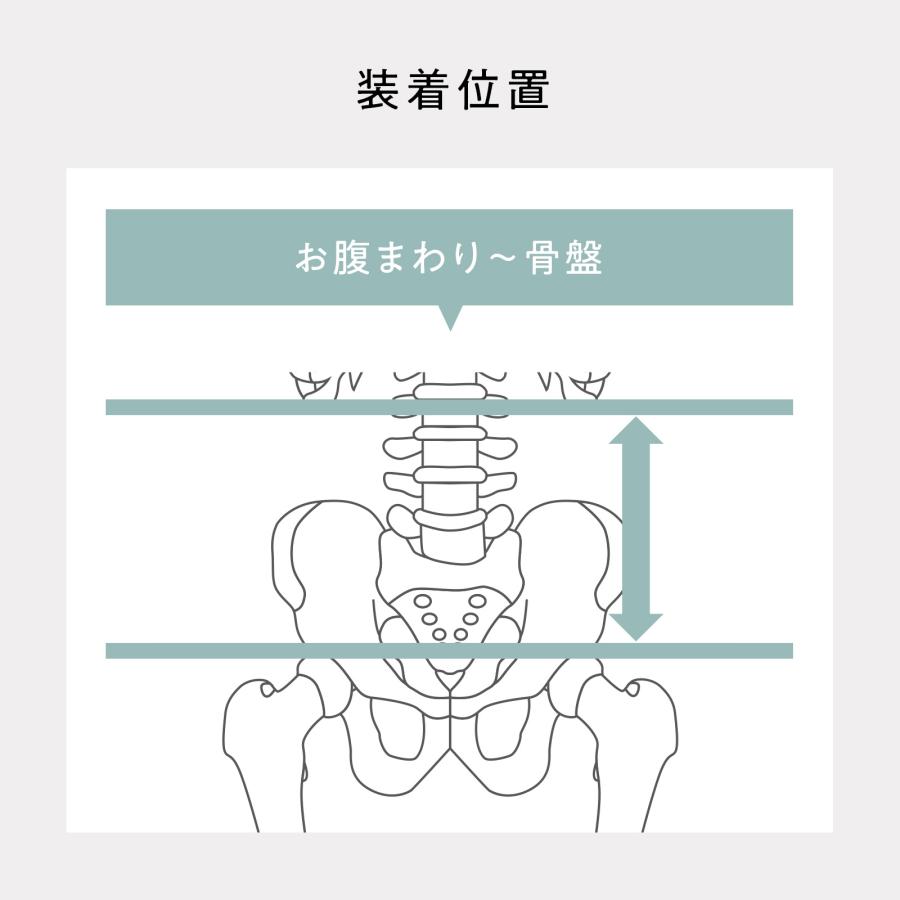 Style（スタイル） ○ポイント10倍！○ スタイルランバーデラックス