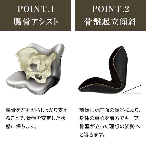 11/1〜 価格改定 座椅子 椅子 スタイルプレミアムデラックス ブラック Style PREMIUM 猫背 骨盤 クッション 姿勢 ケア :9556202001:MTG ONLINESHOP - 通販 - Yahoo!ショッピング 11/1〜 価格改定 座椅子 椅子 スタイルプレミアムデラックス ブラック Style PREMIUM 猫背 骨盤 クッション 姿勢 ケア :9556202001:MTG ONLINESHOP - 通販 - Yahoo!ショッピング