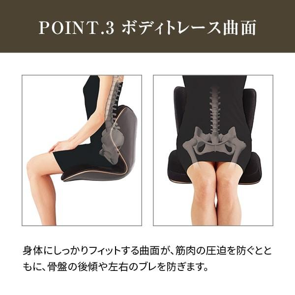 座椅子 椅子 スタイルプレミアムデラックス ブラック Style PREMIUM 