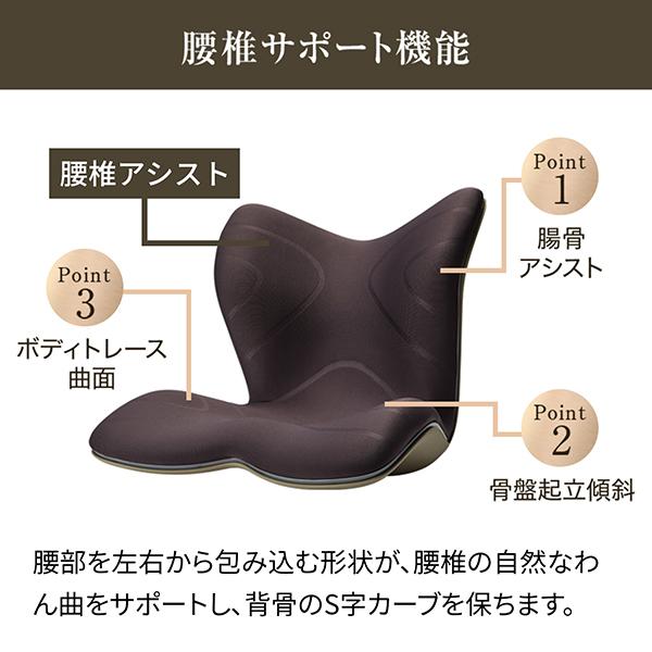 ポイント付与+10%】公式ストア 座椅子 スタイル プレミアム Style