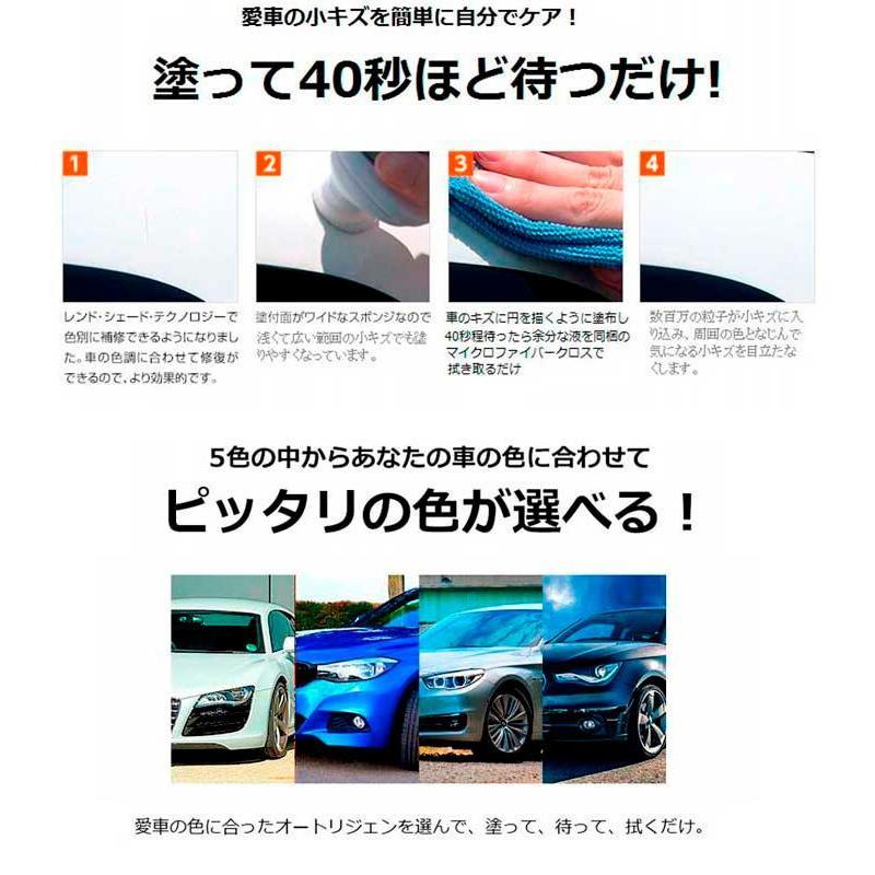 オートリジェン グレー シルバー 車用簡易小キズ補修剤 車のキズ隠し 小傷修復 Ech 0035 Kns Ech 0035 Mtkshop 通販 Yahoo ショッピング