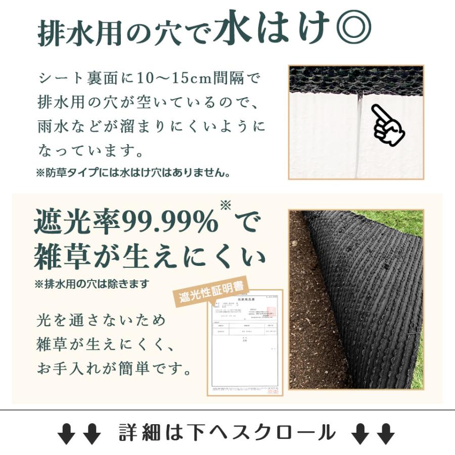 人工芝 リアル人工芝 ロール 1m×10m 密度35万本/m2 高耐久 U字ピン26本付 DIY |  | 11