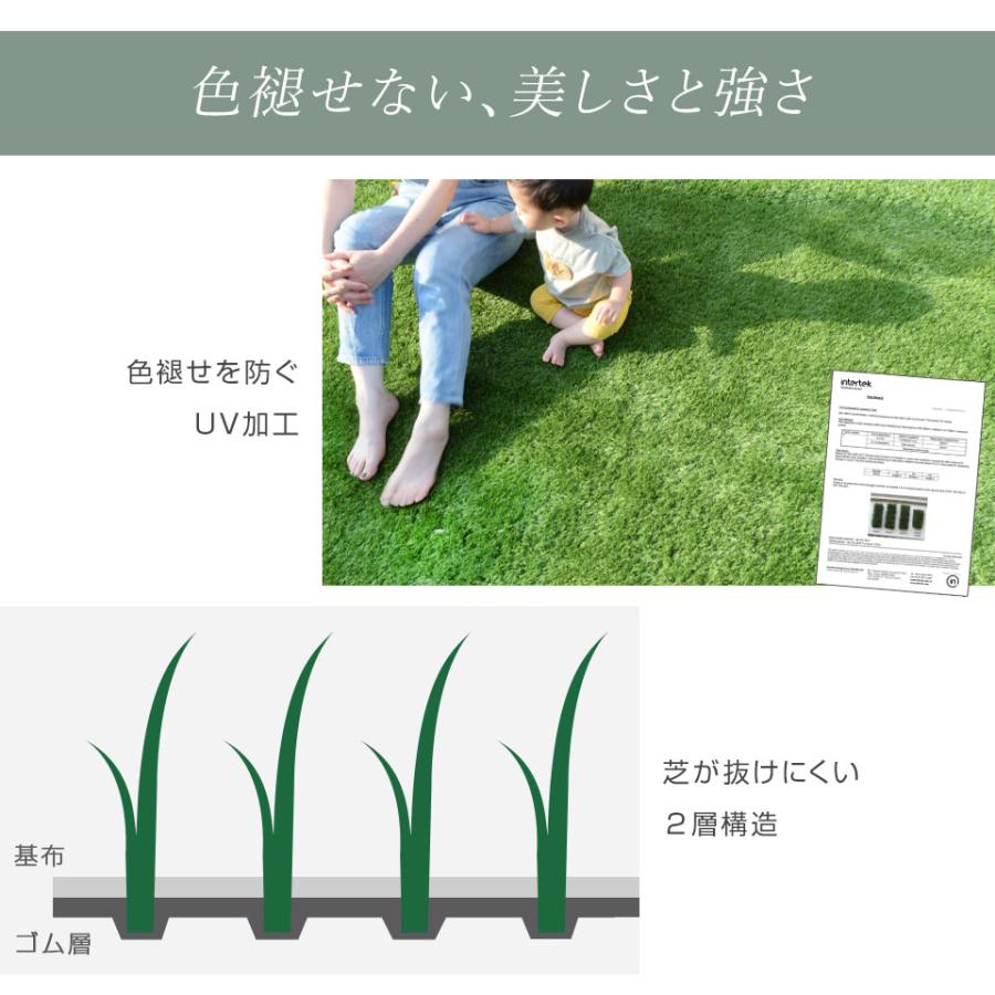 人工芝 リアル人工芝 ロール 1m×10m 高耐久 U字ピン26本付 DIY ALTENA