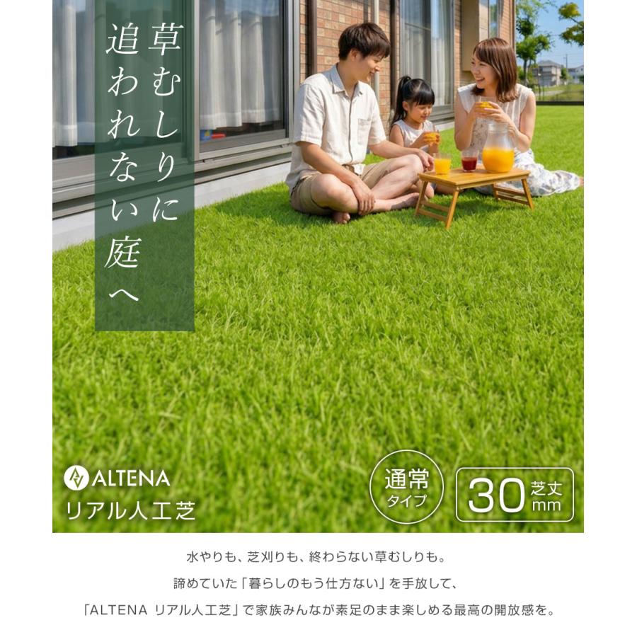 人工芝 リアル人工芝 ロール 1m×10m 高耐久 U字ピン26本付 DIY ALTENA