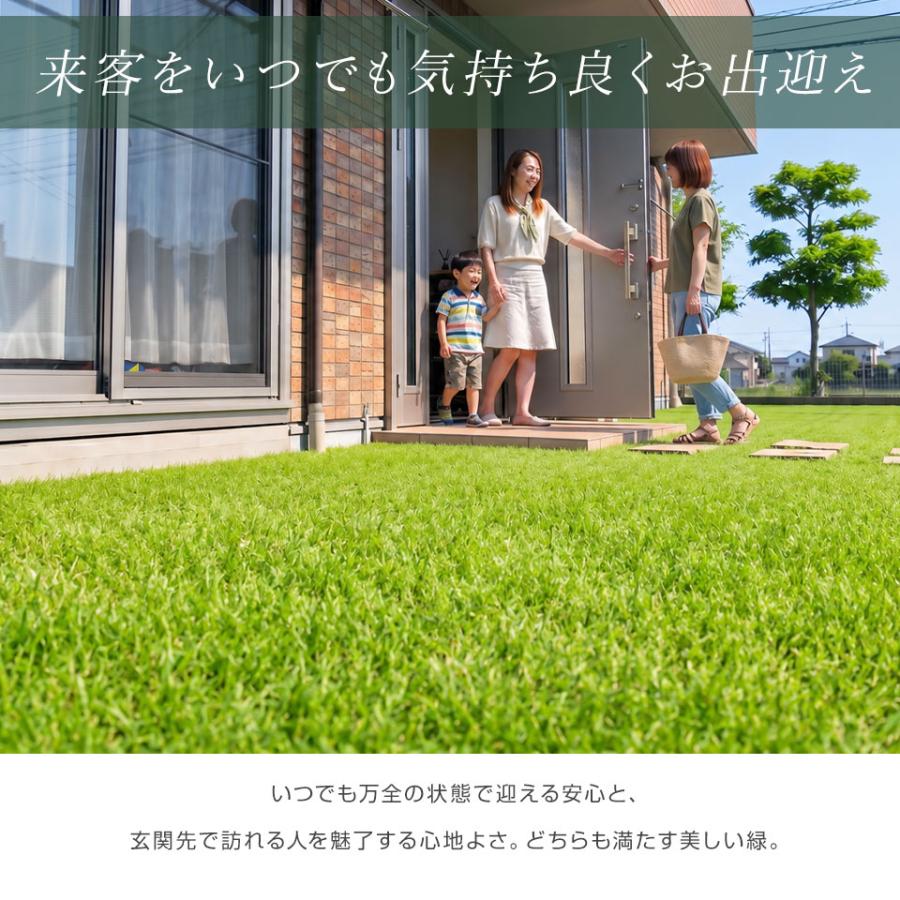 人工芝 リアル人工芝 ロール 1m×10m 高耐久 U字ピン26本付 DIY ALTENA