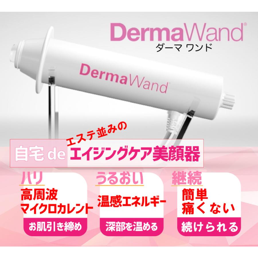 RF美顔器 リフトアップ ダーマワンド Derma Wand スチーマー EMS KNS