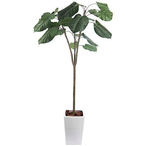 限定価格セール 人工観葉植物 フェイクグリーン 観葉植物 造花 光触媒 大型 ウンベラータ 190cm 白鉢 陶器製 インテリア おしゃれ フェイク グリー エムティマート 通販 Yahoo ショッピング 正規激安 Web Escgroup Com