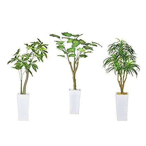 高い素材 Doris 水やり不要 人工観葉植物 高さ100cm以上の人工観葉植物シリーズlサイズ3個セット リビング 玄関タイプ 今月限定 特別大特価 Www Maxipiso Com Ar