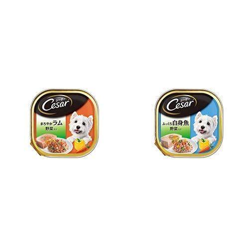 登場 セット買い シーザー 成犬用 ふっくら白 成犬用 ドッグフード ウェット まとめ買い 100g 24個 野菜入り まろやかラム ドッグフード Www Kochi Shokokai Jp