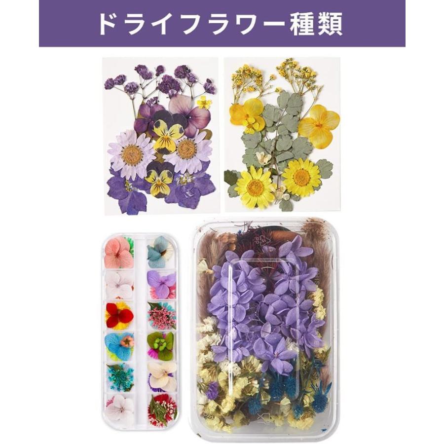 ユザワヤ押し花キット おし花押し器セットb 押し花ファクトリー