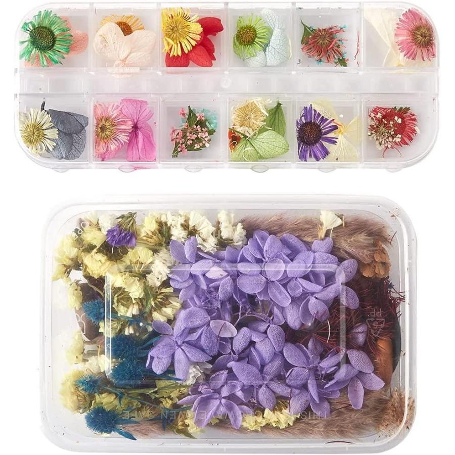 レジンアクセサリー 封入素材 押し花セット ドライフラワー ネイルパーツ レジンパーツ 花 手つくり アクセサリーパーツ Diy 手芸用 ピンセット その他押し花用品 Ilgaimportadora Com