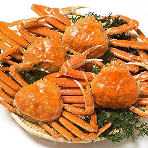 楽天1位 日本海市場 訳あり松葉ガニ ズワイガニ 姿 ボイル 約1kg 鳥取県より産地直送 1落ち程度 A B00y57p1je Mtm Co 通販 Yahoo ショッピング 再再販 Www Cristaxi Ro