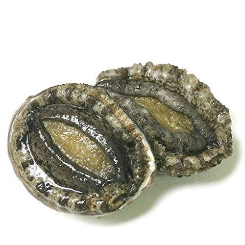 訳ありセール格安 黒帯 活蝦夷鮑 北海道 天然 蝦夷 あわび 刺身 活 黒アワビ 特大 大サイズ 500g 5 7個入 50 Off Zoetalentsolutions Com