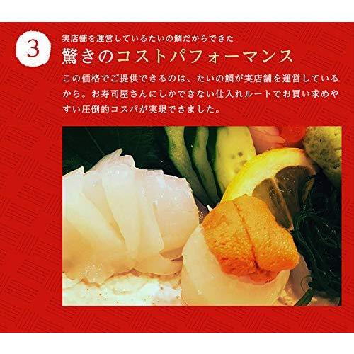 甲イカ 枚 イカ 寿司 刺身 新鮮 口の中に広がる 甘味 旨味 鮮度抜群 実店舗 たいの鯛 播磨 海鮮 いか A B07qc219sn Mtm Co 通販 Yahoo ショッピング