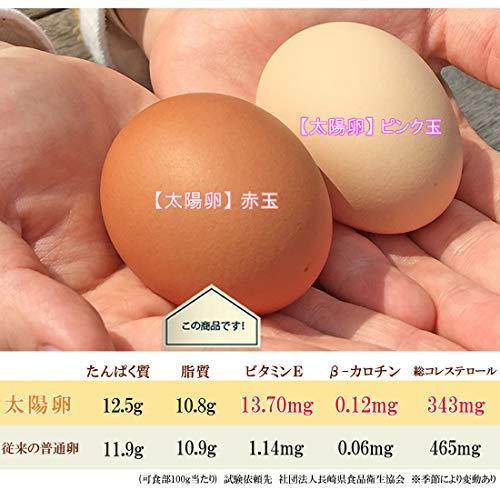 格安 太陽卵 最高級鶏卵 特選太陽卵 赤玉 50個入り チルド便 正規品 Zoetalentsolutions Com