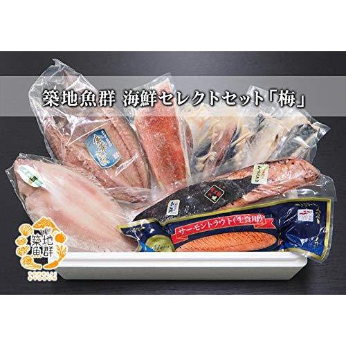 安いそれに目立つ 築地魚群 築地魚群 海鮮セレクトセット 梅 漬け魚 干物 炭火焼き 特選海鮮セット 初回限定 Www Muslimaidusa Org