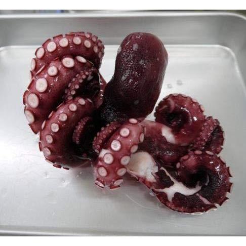 訳ありお得 蒸したこ 1500g 6 9人向け 他のサイズもあります タコたこ焼き唐揚げ A B08cs4qt7l Mtm Co 通販 Yahoo ショッピング