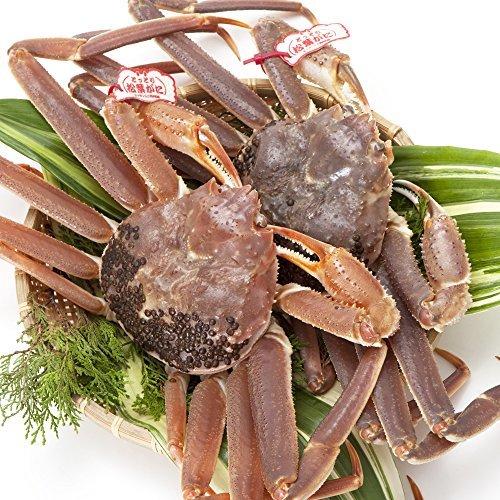 珍しい 日本海市場 タグ付き特上松葉ガニ ズワイガニ 姿 小サイズ2枚 活２枚で800g前後 本物 の松葉ガニを産 A B00pduasuy 2101 Mtmland 通販 Yahoo ショッピング 正規激安 Www Lequotidien Mr