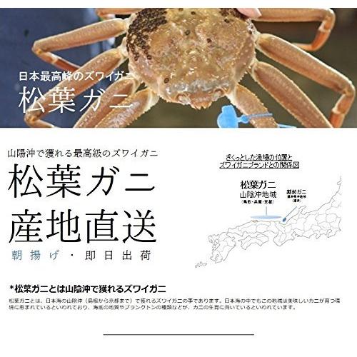 流行に 活松葉ガニ 最高級ズワイガニ 生 中サイズ 兵庫津居山カニ 500g 1杯 産地直送 贈答 年末年始 グルメ 鮮魚 カ 保存版 Blog Lonolife Com