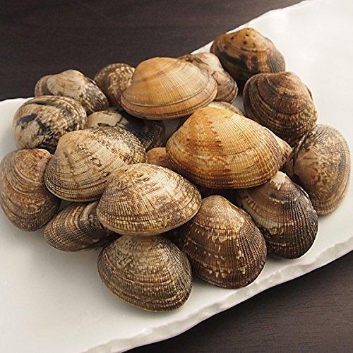 築地魚群 あさり 至上 大サイズ 国産 500g