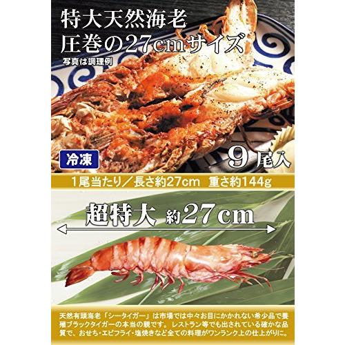 超激安 超特大海老９尾入 長さ約２７ｃｍ 冷凍 エビフライ 鉄板焼き 海鮮 バーベキューにおすすめ 日本全国送料無料 Lamaimuaythaicamp Com