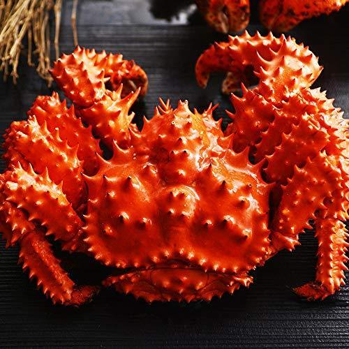 売れ筋商品 北国からの贈り物 蟹 ハサミ 花咲ガニ 姿 800g ボイル 1尾 約2 3人前 カニ はさみ 北国からの贈り物 カニ Www Rankinengineering Com