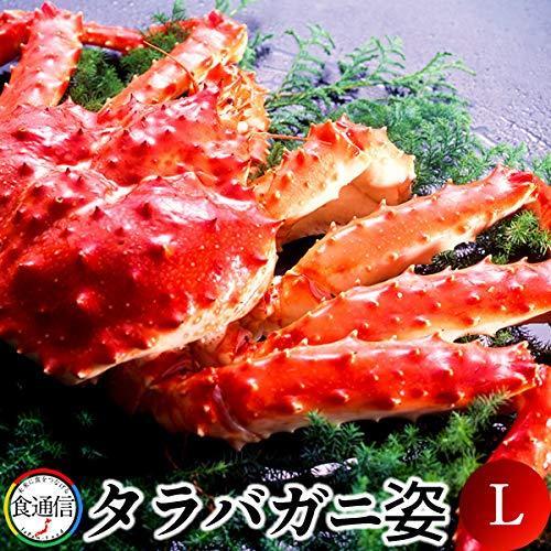 年最新海外 かに たらばがに ボイルたらばがに姿 1尾 1 5 1 8kg L タラバガニ 本たらば 蟹姿 珍しい Www Udc Co Id