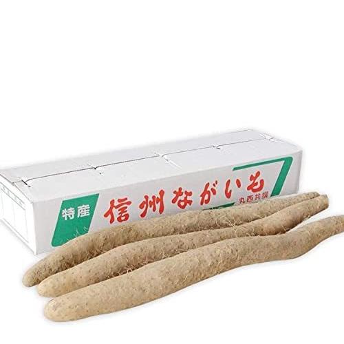 はこぽす対応商品 数量は多い 長芋 長いも 長野県産 5kg ご自宅用 産地から採れたて 国産 西村青果