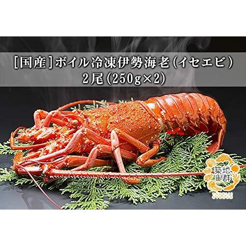 Seal限定商品 築地魚群 国産ボイル 冷凍伊勢海老 イセエビ 2尾 250g 2 冷凍便 商品 最高の Kuljic Com