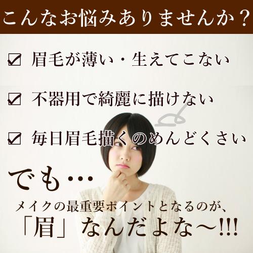 眉毛シール 眉毛タトゥー 貼るだけ 簡単 自然 抗がん剤治療 脱毛対応 男女兼用 説明書付き メイク時短 |  | 01