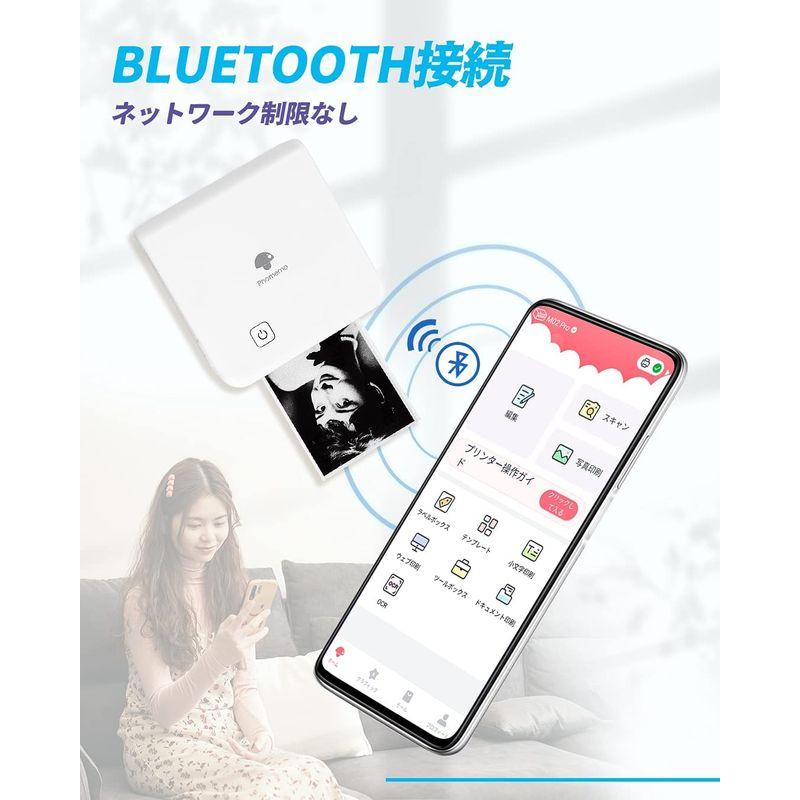 小物などお買い得な福袋 サーマルプリンター Phomemo メモプリン ミフォトプリンタ ポータブル式 モバイルプリンター スマホ対応 300dpi Pro M02 フォトプリンター Www Sundplast Se