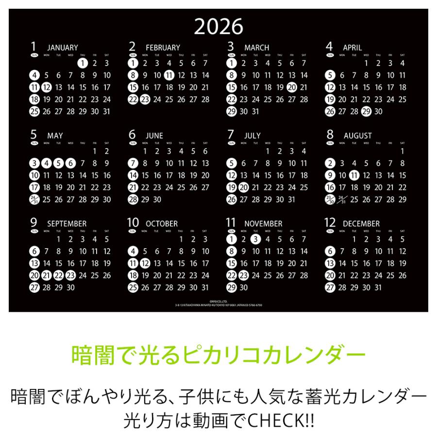 カレンダー 年間 1枚 2026 壁掛け 光る 365日 ピカリコ オフィス