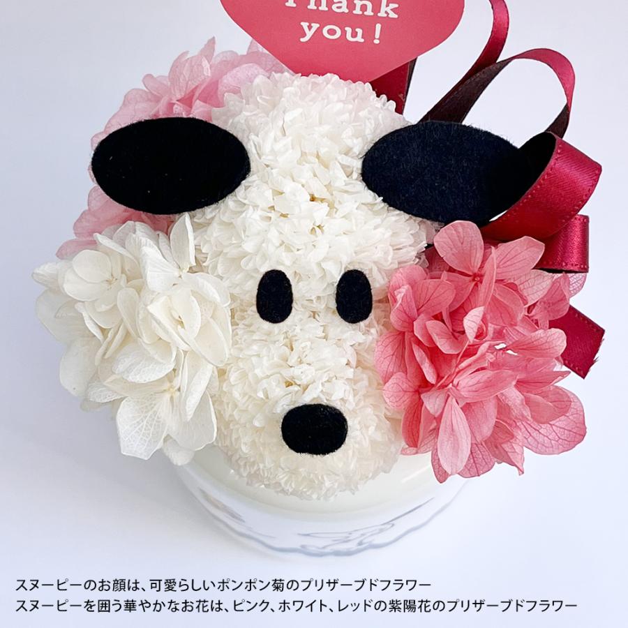SNOOPY（スヌーピー） 遅れてごめんね 母の日ギフト 母の日 花
