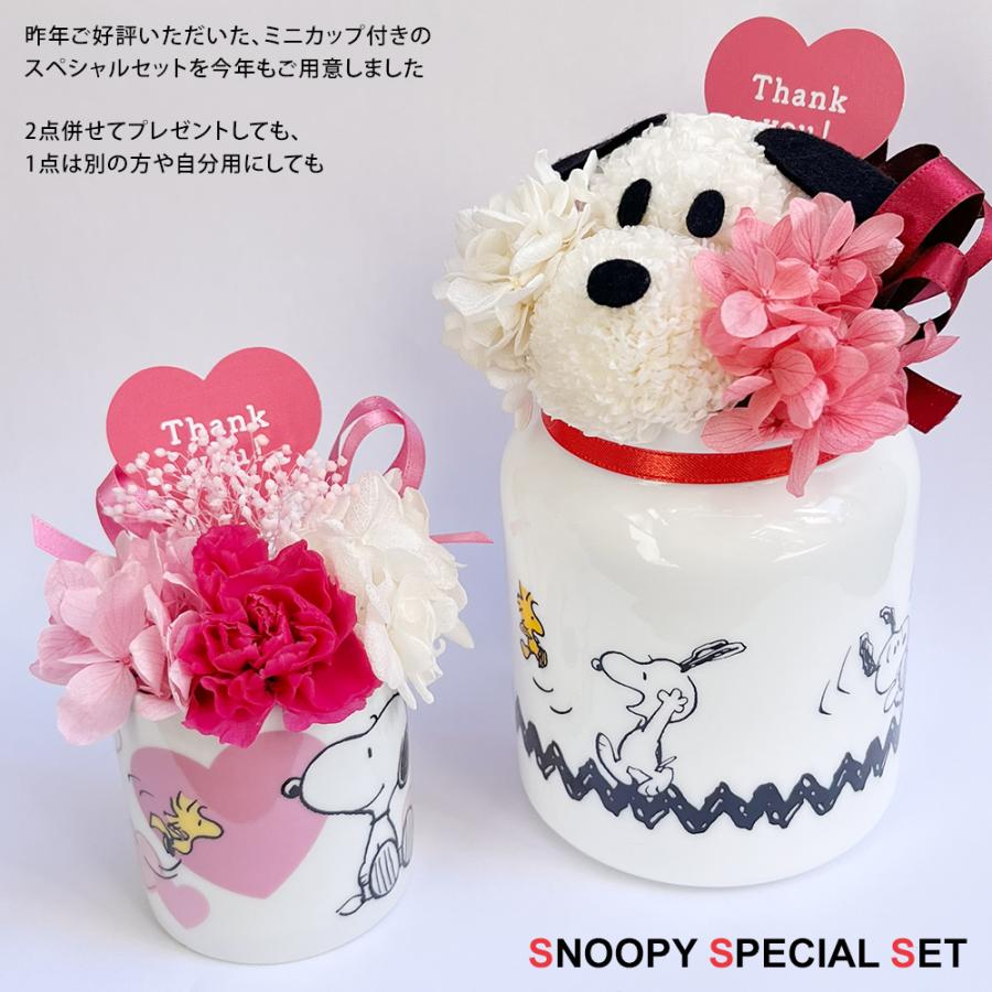 SNOOPY（スヌーピー） 遅れてごめんね 母の日ギフト 母の日 花