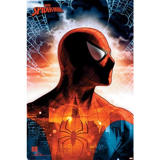 スパイダーマン/Protector of the city ポスター FF-5220 : ムー大陸