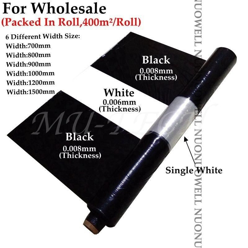 激安単価で フィルム カバー 農業 温室 野菜 植物 害虫駆除 除草 ガーデン Seal限定商品 Missbargainhuntress Com